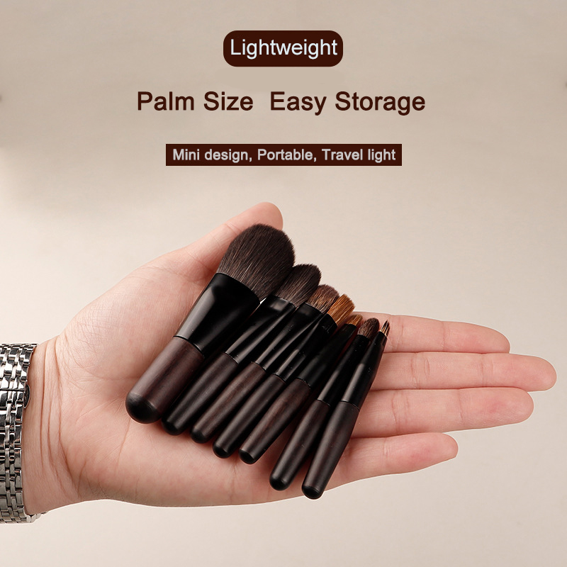 Mini cosmetische penselen Set  - My Beauty Makeup Set recensie en prijs
